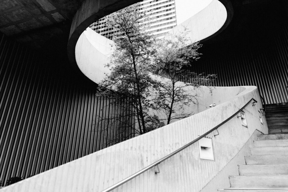 Architectural image of outdoor spiral staircase with tree in the middle.